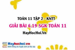 Bài 6.19 SGK Toán 11 Tập 2 Kết nối tri thức